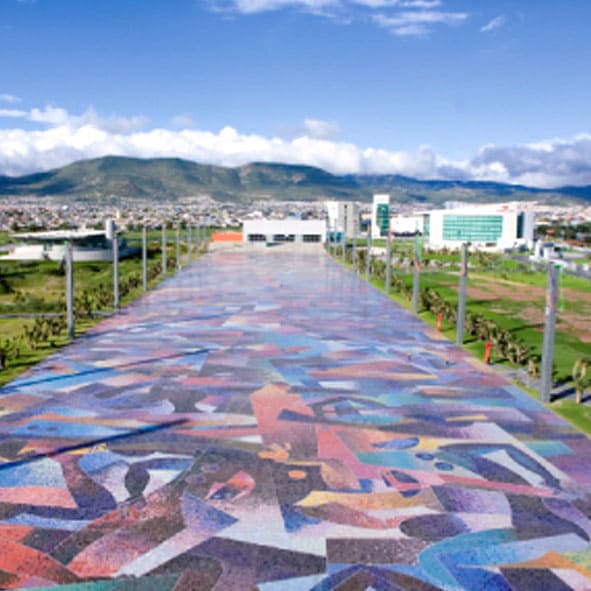 Visitar el Parque Ben Gurión 